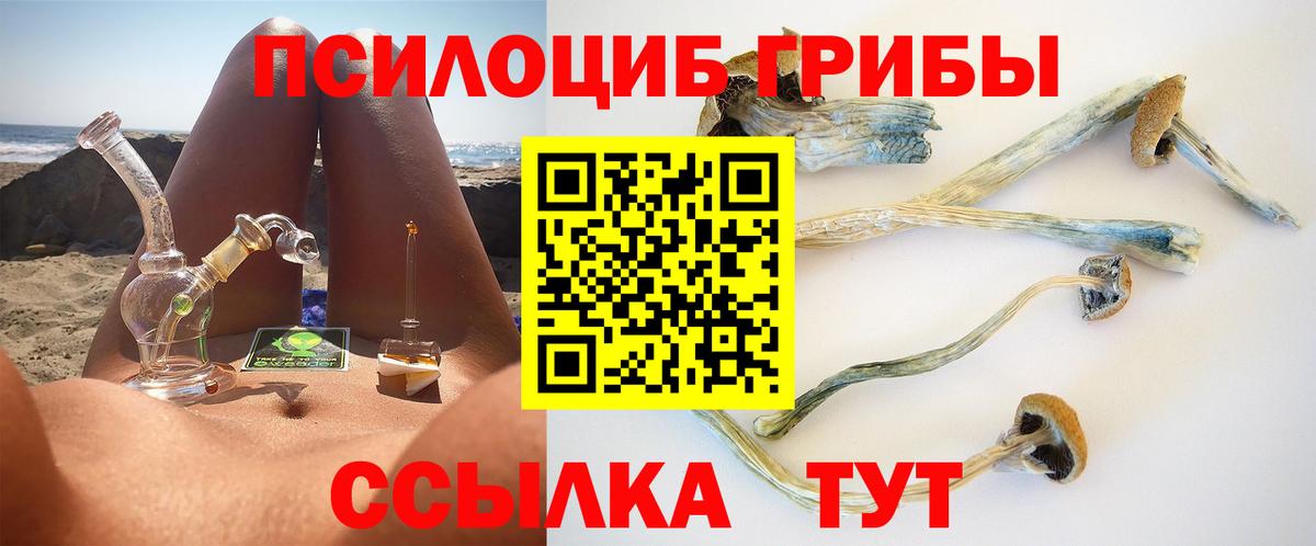 Галлюциногенные грибы Magic Shrooms  купить наркотик  Минусинск  Вход с VPN 